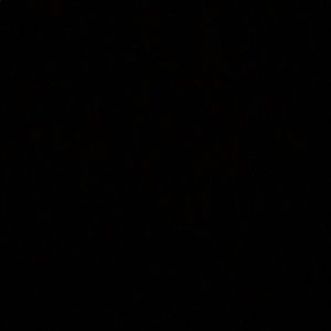 Meet your Posher, Jackson